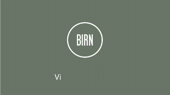 BIRN Group - Logoer DK